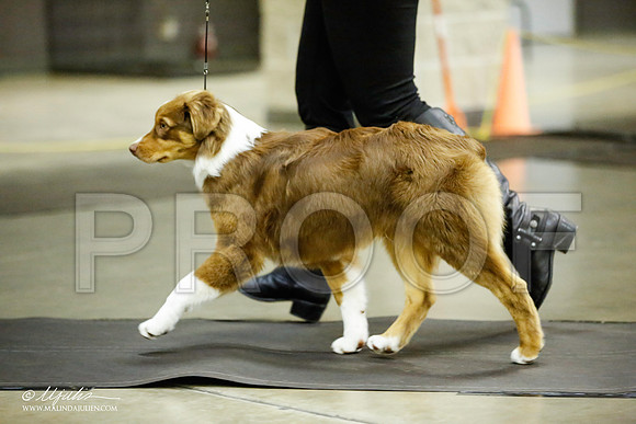 _JJ_6043-BeltonJan2015IABCA-HR3