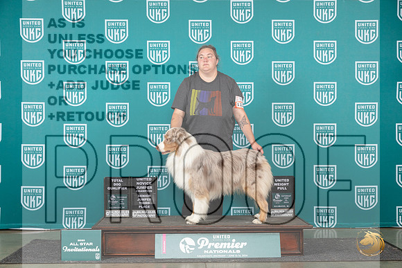 Australian Shepherd #1127 TD__JP_2264_Premier_2024_HR3