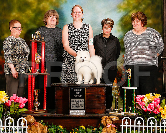 _ST_3915-2-DentonMar2015-HR3