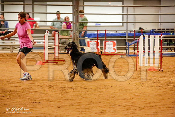 _JN_2964-AfgBeltonOct2014-HR3