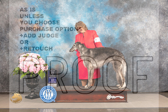 Borzoi #12 FRI BOW Major Judge Timothy Catterson_MJ_5109_Houston_2022_HR3