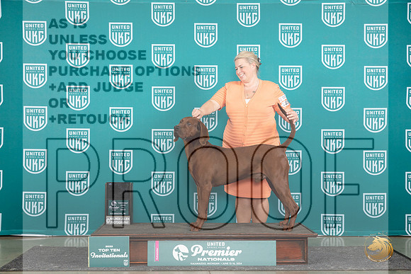 Redbone #1234 Thur SF Judge Deb Allen__JP_1186_Premier_2024_HR3