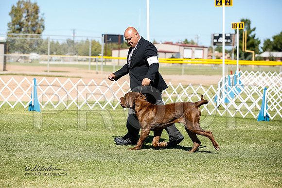_JN_0723-AlamogordoOct2014-HR3