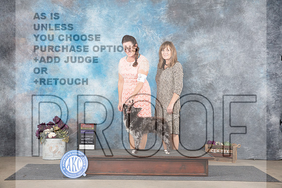 Mudi #6 Sat WBBOSNCH Judge Del Richards__JP_7107_Belton_2024_HR3