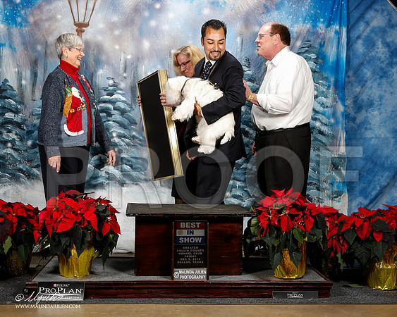 _ST_8399-2-DallasDec2014-HR3