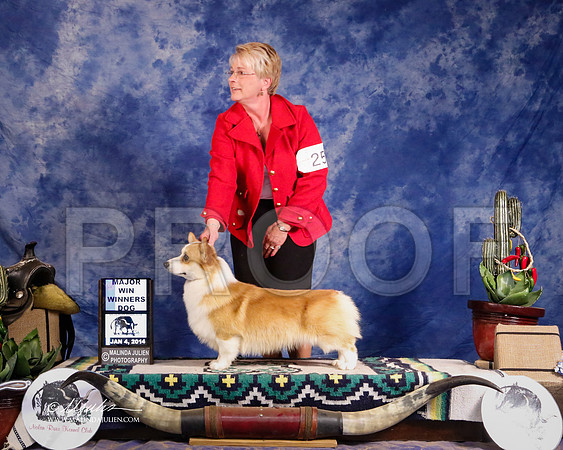 CorgPW-1716-GRJan14-HR