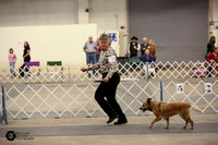 Herding Group Ring Sat
