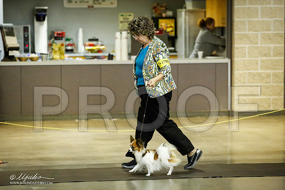 _JJ_5370-BeltonJan2015IABCA-HR3