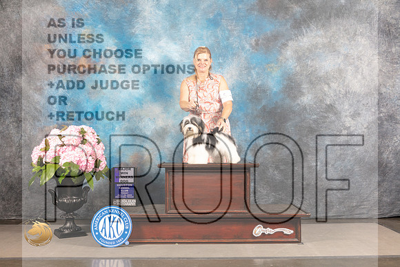 Havanese #25 FRI WD Major Judge Ken Murray_MJ_5807_Houston_2022_HR3