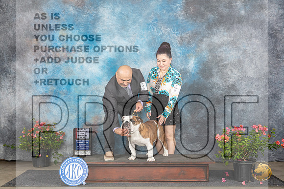 Bulldog #5 Sun WDBOS Judge Christie Martinez__JP_5831_San Antonio_2024_HR3