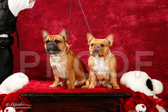 _ST_2661-2-BeltonJan2015IABCA-HR3