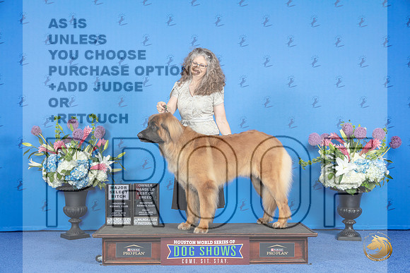 Leonberger #16 FRI SB OHBOB M Judge Douglas Johnson__JP_8786_Houston_2024_HR3