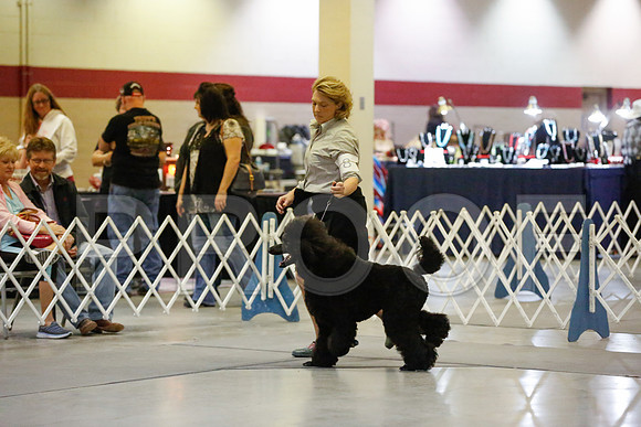 _JN_8028-AmarilloSept2014-HR3