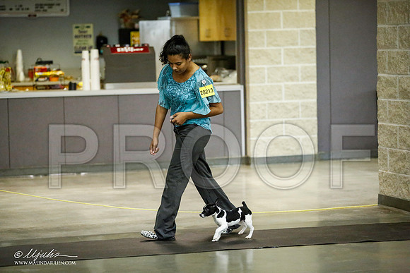 _JJ_5946-BeltonJan2015IABCA-HR3