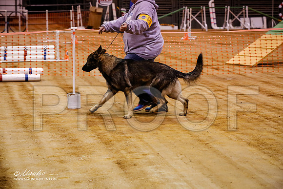 GSD-7262-MrshllDec13-HR