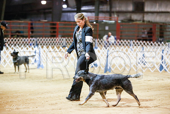 _JN_4525-2-GlenRoseJan2015-HR3