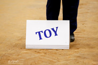 Toy Group Sat Ring