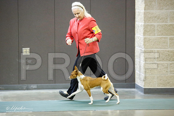 _JN_4371-BeltonJan2015-HR3
