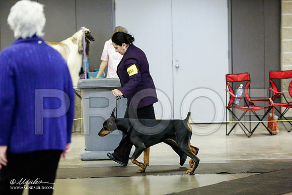 _RH_1573-BeltonJan2015IABCA-HR3