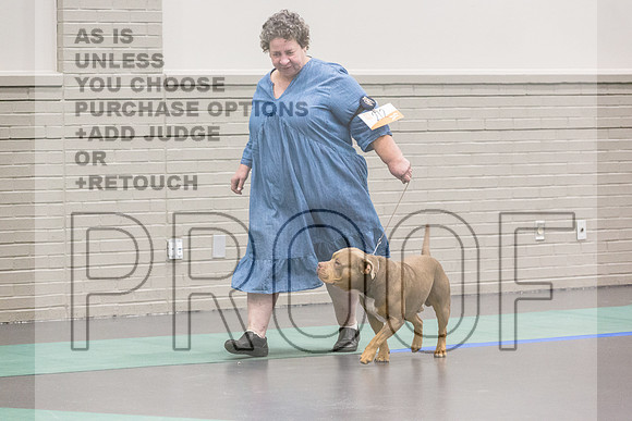 Bully Rings Fri Ring 1_JJL_6910_UKCLNGVIEWOCT2024_2024_HR3