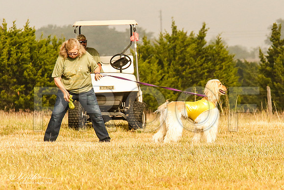 _MJ_3772-AfgBeltonOct2014-HR3
