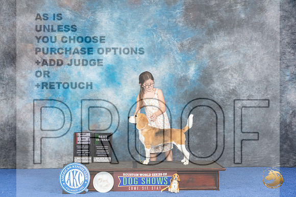 Beagle 15 #14 WED BV BOSSw Judge Douglas Johnson__JP_7011_Houston_2024_HR3
