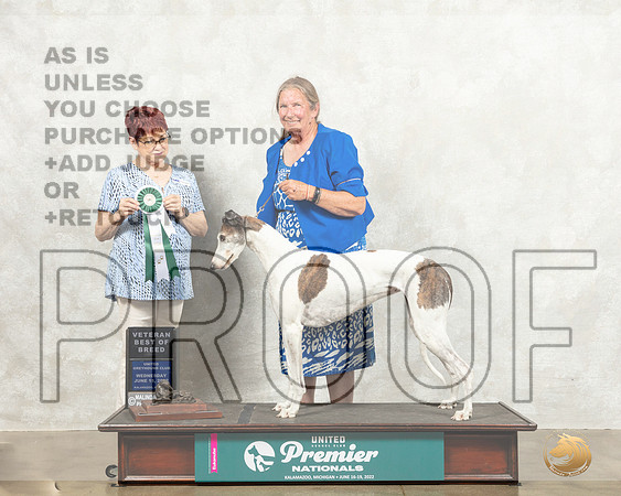 Greyhound #105 VBOB Judge Marian Campbell_MMJ_6817_Premier_2022_HR3