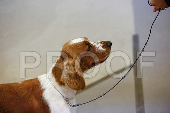 _JN_8322-AmarilloSept2014-HR3