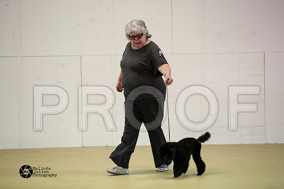 poodM-9790-HtoJan2014-HR3