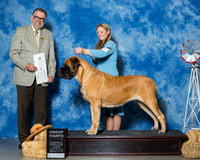 Mastiffs #6 G4 Lambden Jennifer Dolly Moore Susan Wheeler Agent Holly Leftwich PHA Mr James G Reynolds