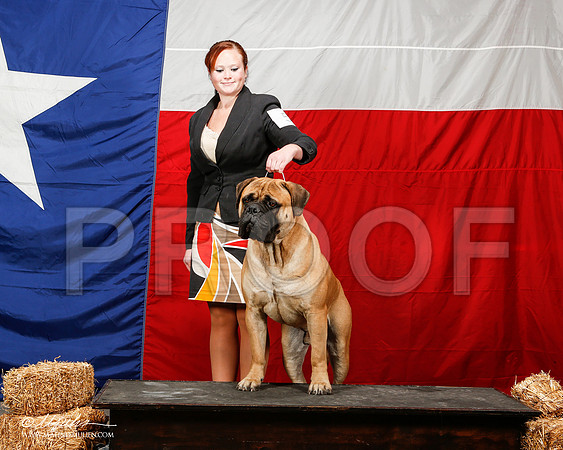 _ST_2053-2-AmarilloSep2014-HR3