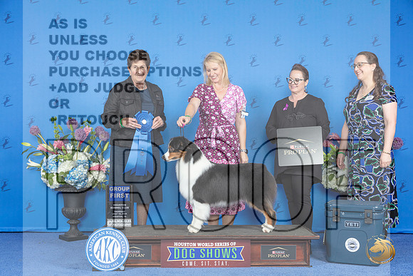 Australian Shepherd #16 THUR G1 Judge Ann Yuhasz__JP_8501_Houston_2024_HR3