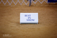 Best in Show Sat Ring