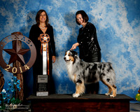 #873 Sat2 Premier Dog Alan & Kathy McCorkle Judge Kristin Rush