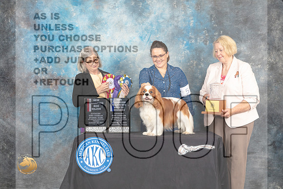 Cavalier King Charles Spaniel #5 Fri2 BOWBOSNCh Judge Carol Pyrkosz_MJ_9866_HstnTOY_2022_HR3