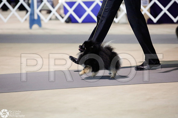 _JJ_4127-SanAntonioJul2014-HR