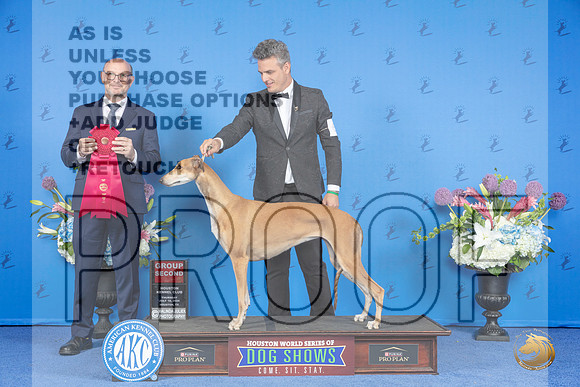 Greyhound #6 THUR G2 Judge Jamie Hubbard__JP_8592_Houston_2024_HR3