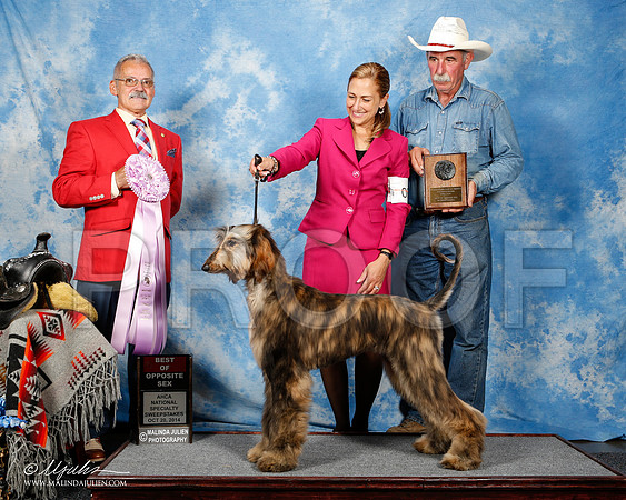 _ST_4496-2-AfgBeltonOct2014-HR3