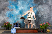 German Shorthaired Pointer #22 Sun WBMCH Judge Elizabeth ‘Beth’ Sweigart Christie Martinez Victor Rosado