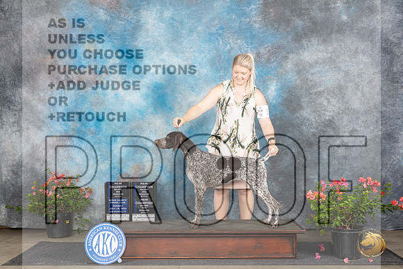 German Shorthaired Pointer #22 Sun WBMCH Judge Elizabeth ‘Beth’ Sweigart Christie Martinez Victor Rosado__JP_5811_San Antonio_2024_HR3