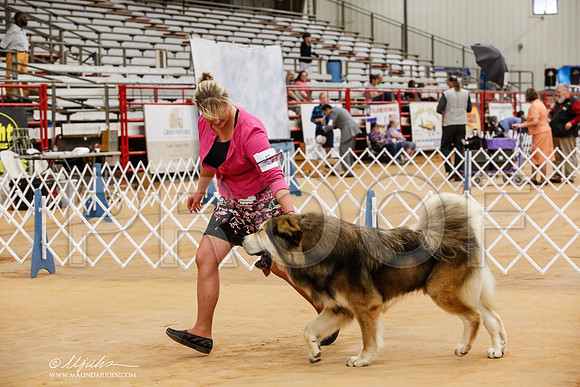 _HR_7931-TxArJun2014-HR3