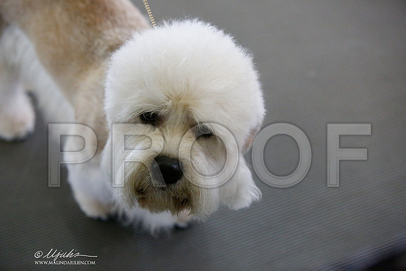 _JJ_2296-DallasJul2014-HR3