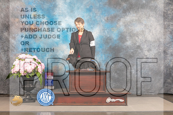 Dachshund Long Coated #14 SAT WB BOS Judge Timothy Catterson_MJ_6397_Houston_2022_HR3