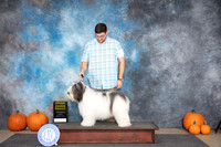 Polish Lowland Sheepdog #5 Sat G3 Judge Ray Filburn