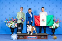 Israel Salcedo Houston 2024