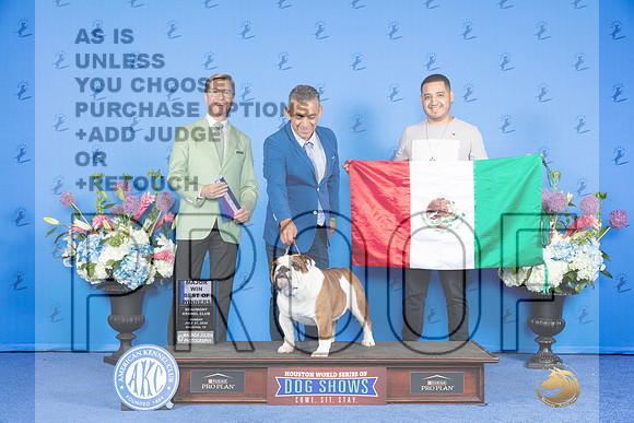 Bulldog #23 SUN BOW M Judge Douglas Johnson_JP_0178e_Houston_2024-HR3