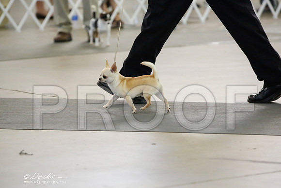 _CK_0022-DallasJul2014-HR3