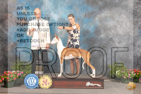 Ibizian Hound #6 Sat G4 Judge Allen Odom_MJ_0611_SA_2022_HR3