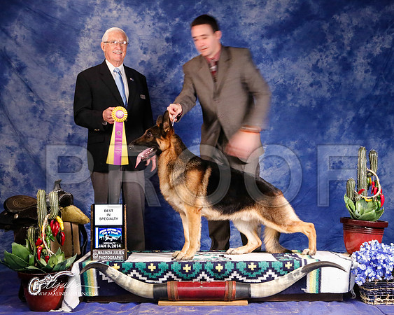 GSD-0382-GRJan14-HR