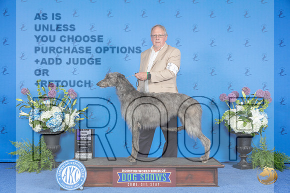 Scottish Deerhound #14 THUR WB M Judge Debbie Freeman__JP_8267_Houston_2024_HR3